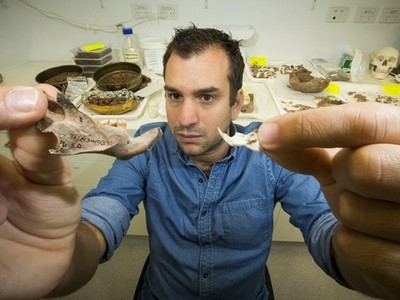 Ученые нашли кости 5-килограммовых древних крыс