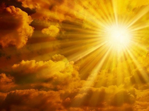 В 2025 году аномальная жара на планете станет нормой — ученые