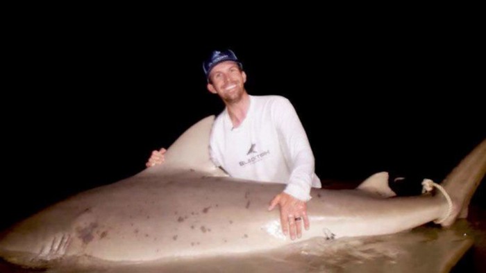 Из реки выловили 181-килограммовую акулу: невероятное видео