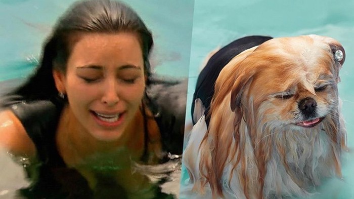 Ким Кардашьян рассмешила Сеть, сравнив себя с собакой (фото)