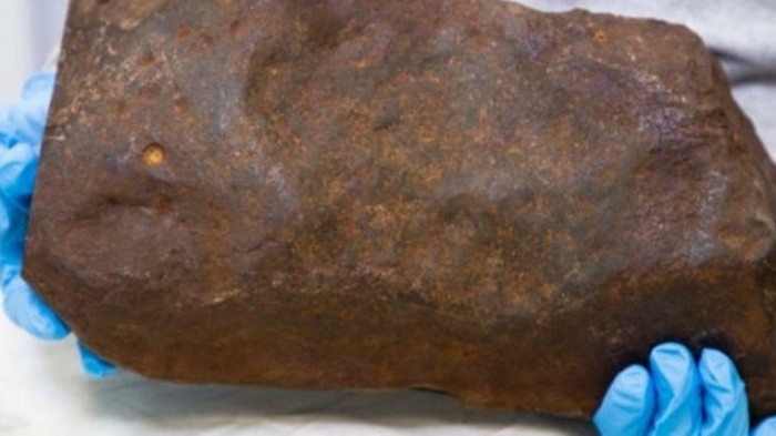 Австралиец несколько лет хранил уникальный метеорит, считая его золотом