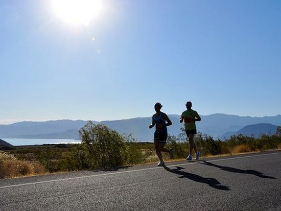 Ученые сообщили одно из самых главных преимуществ бега