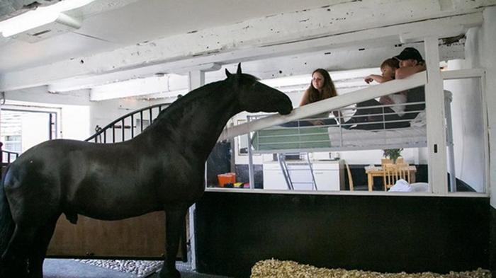 В Великобритании открылся отель с лошадьми (фото)