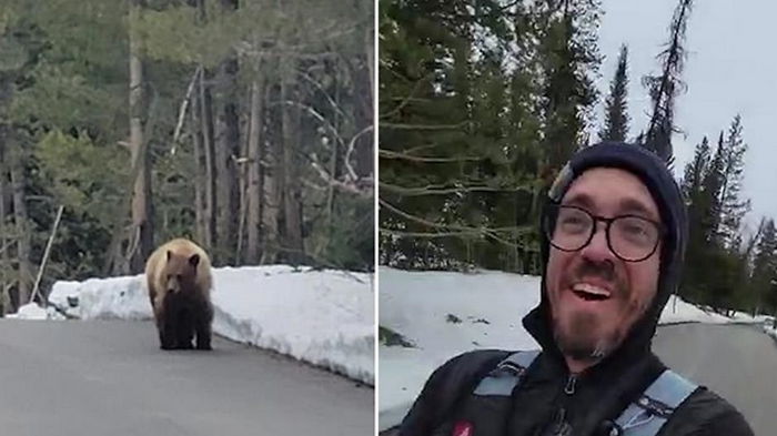 В США медведь преследовал бегуна (видео)