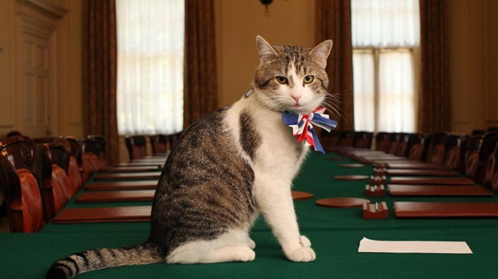 Главный кот Британии: Король попросил меня стать премьером