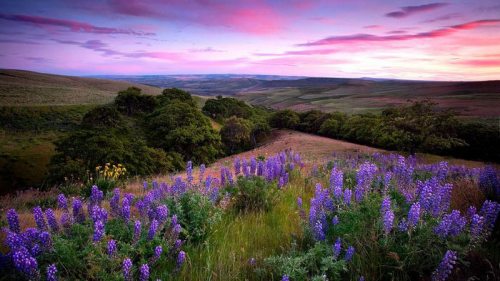 Гороскоп на неделю: для всех знаков зодиака