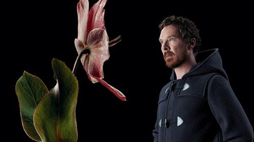 Звезда Шерлока Холмса стал новым лицом Prada