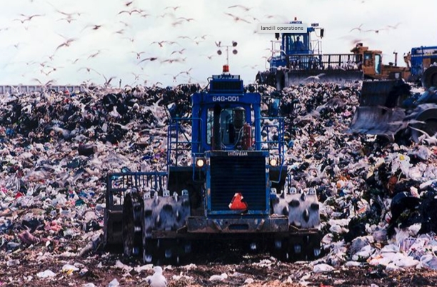 В Нью-Йорке крупнейшую в мире свалку превратили в парк – каким образом (фото)