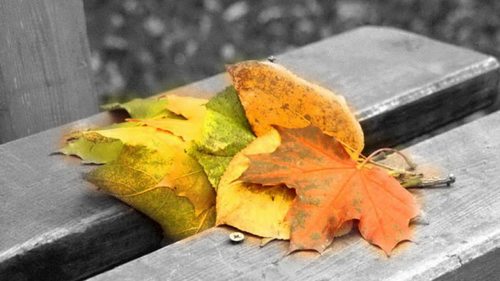 Выходные будут полны встреч и знакомств. Гороскоп для всех знаков Зодиака на 28-29 октября 2023 года