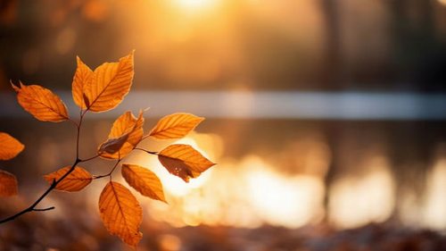 Выходные обещают бурю эмоций. Гороскоп для всех знаков Зодиака на 21-22 октября 2023 года