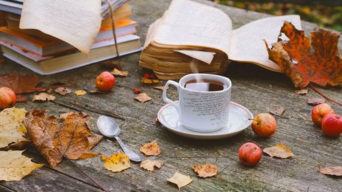 Много общения и резкая смена планов. Гороскоп для всех знаков Зодиака на 4-5 ноября 2023 года