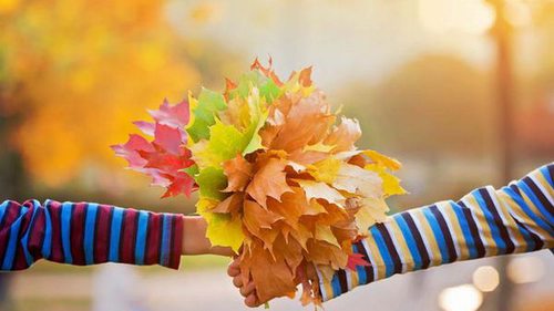 Любовный гороскоп на неделю: каким знакам повезет с 30 октября по 5 ноября