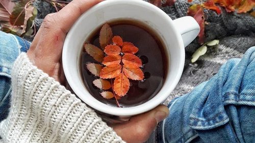 Гороскоп на неделю: для всех знаков зодиака