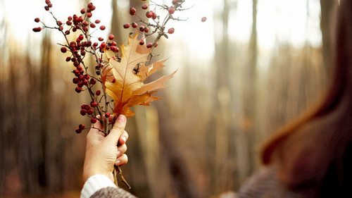 Гороскоп на неделю: для всех знаков зодиака