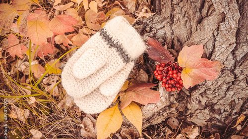 Гороскоп на неделю: для всех знаков зодиака