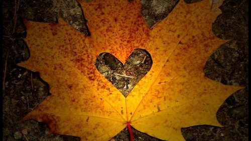 Любовный гороскоп для всех знаков Зодиака на октябрь 2023 года