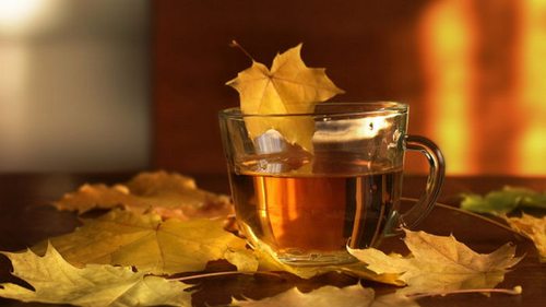 Гороскоп для всех знаков Зодиака на 14-15 октября 2023 года