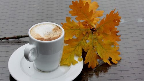 Гороскоп на ноябрь для всех знаков Зодиака: к чему готовиться