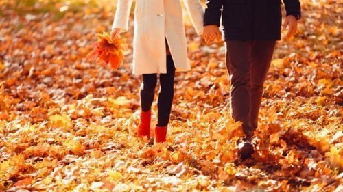 Любовный гороскоп для всех знаков Зодиака на ноябрь 2023 года