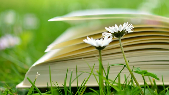 Гороскоп на апрель: кому звезды сулят успех, а кому — испытания?