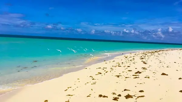 Гороскоп на неделю: для всех знаков зодиака