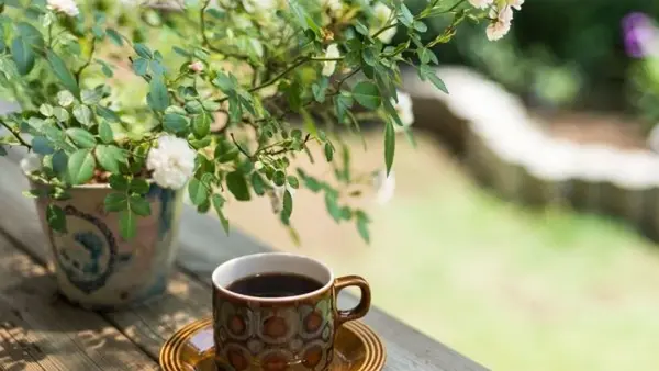 Гороскоп на неделю: для всех знаков зодиака