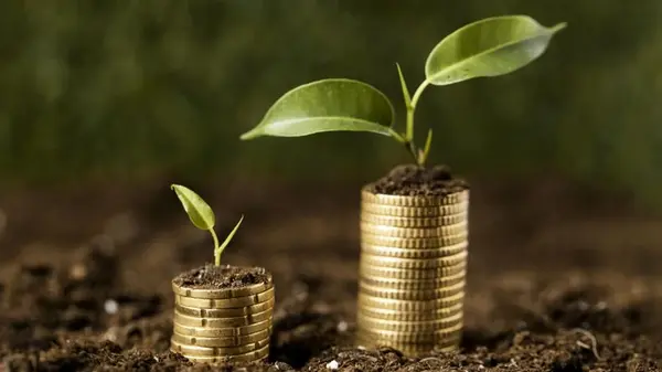 Финансовый гороскоп на неделю: кого из знаков Зодиака ждет прибыль 21-27 июля