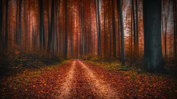 Гороскоп на неделю: для всех знаков зодиака