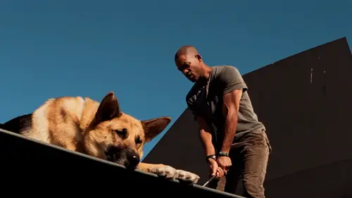 5 сильных фильмов о конце света, которые смотрят на одном дыхании