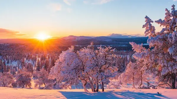 Гороскоп на неделю: для всех знаков зодиака
