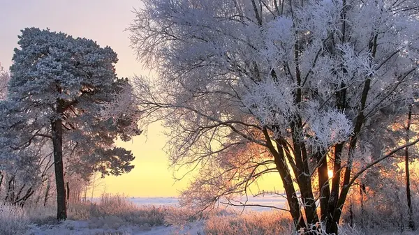 Гороскоп на неделю: для всех знаков зодиака