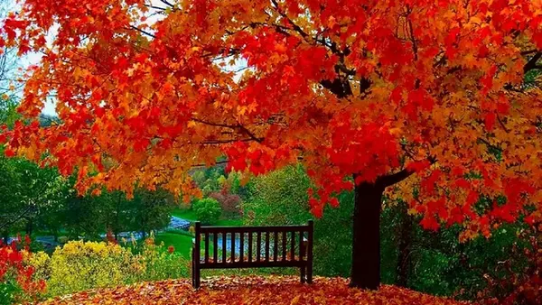 Гороскоп на неделю: для всех знаков зодиака