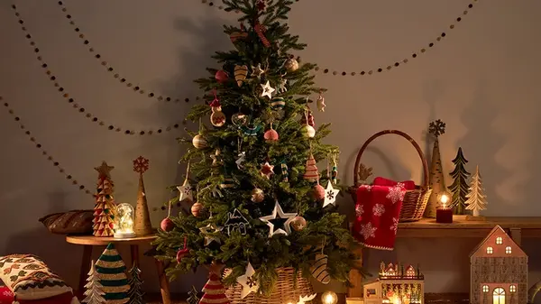 Гороскоп на неделю: для всех знаков зодиака