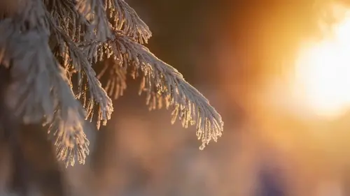 Гороскоп на неделю: для всех знаков зодиака