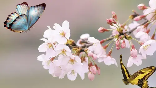 Гороскоп на неделю: для всех знаков зодиака