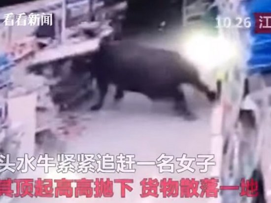 В Китае разъяренный буйвол разгромил супермаркет (видео)