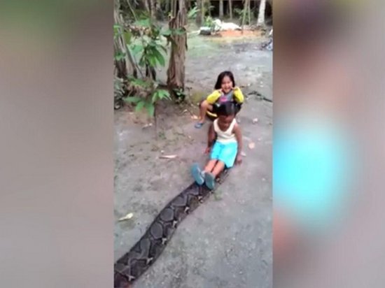 Девочки прокатились на спине гигантского питона (видео)