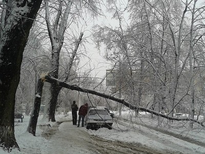 Аномальное количество снега выпало в Харькове (видео, фото)