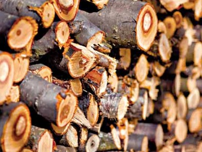 В Крыму жалуются на недостаток дров (видео)