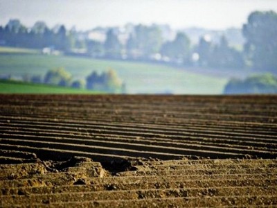 Порошенко «объявил» распродажу сельхозземель по вине сотрудников АП