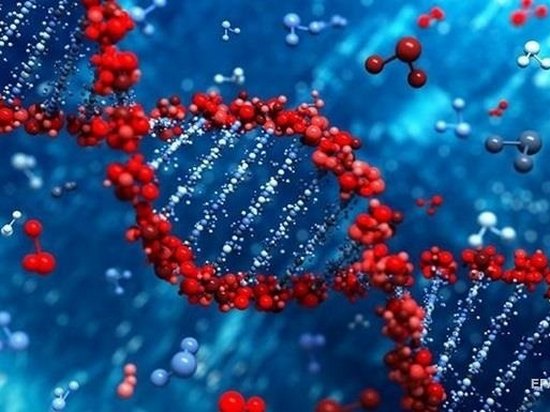 Некоторые гены продолжают работать после смерти — ученые