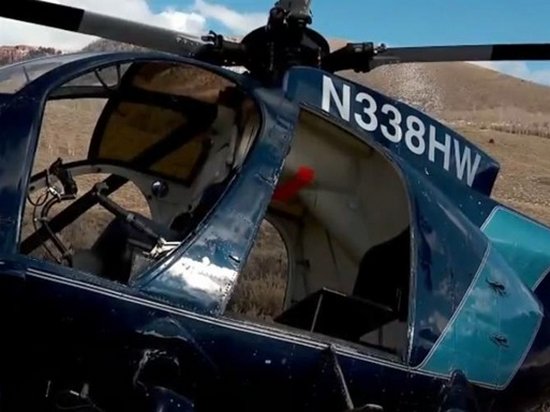 В США из-за лося разбился вертолет