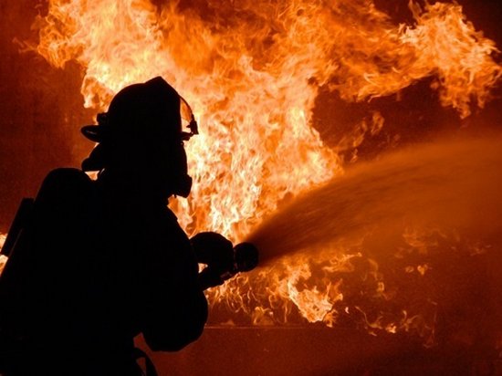 С начала 2018 года в Украине на пожарах погибли более 400 человек