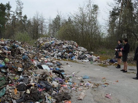 В Житомирской области нашли 90 тонн мусора из Львова