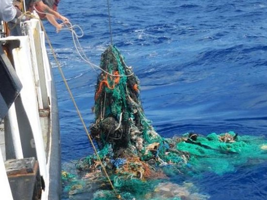 Пятно мусора в Тихом океане в три раза превысило площадь Франции