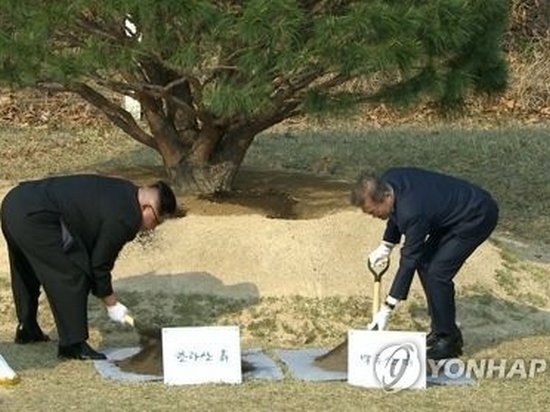Лидеры Северной и Южной Кореи посадили сосну мира
