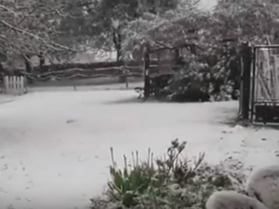 Во Франции выпал снег (видео)