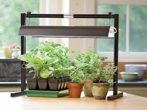 Оборудование для комнатных растений от интернет-магазина «GrowPro»