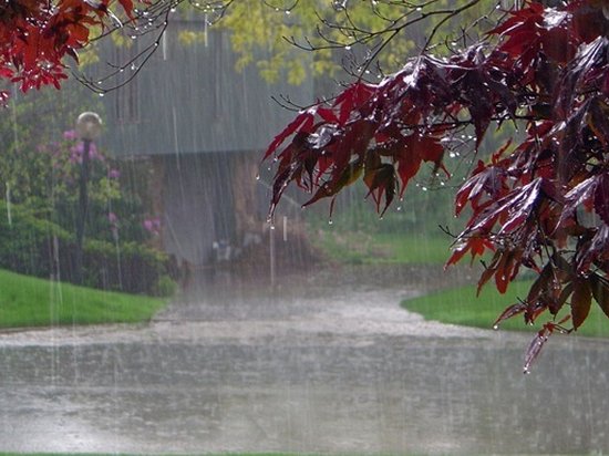 Погода в Украине: +26, дожди и грозы