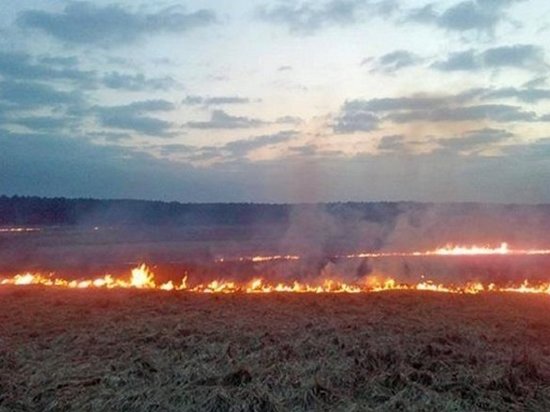 Украинцев предупредили о чрезвычайной пожарной опасности